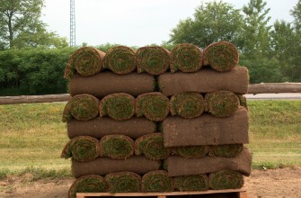 Petersen’s Sod